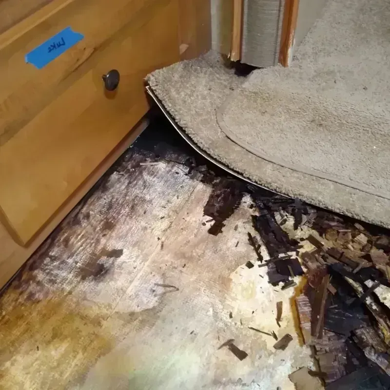 Wood Floor Water Damage in Media, PA